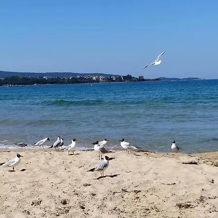 Cozy In The Heart Of Burgas, Bulgaria アパート *